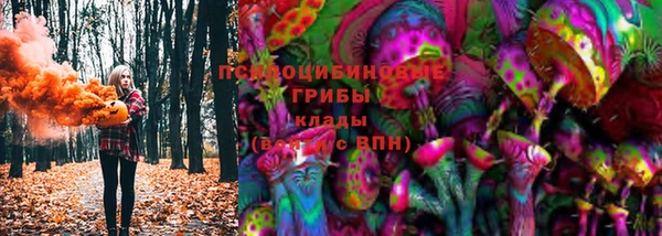 ГАЛЛЮЦИНОГЕННЫЕ ГРИБЫ Ладушкин
