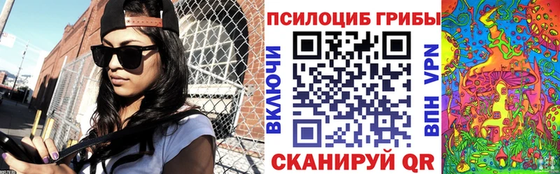 Галлюциногенные грибы Psilocybe  хочу наркоту  Алдан 